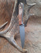 Bird & Trout Knife